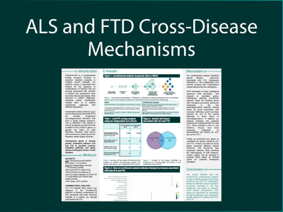 ALS and FTD Cross-Disease Mechanisms