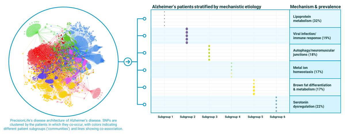 v3 fig 4- PrecisionLife improving health, for everyone-min