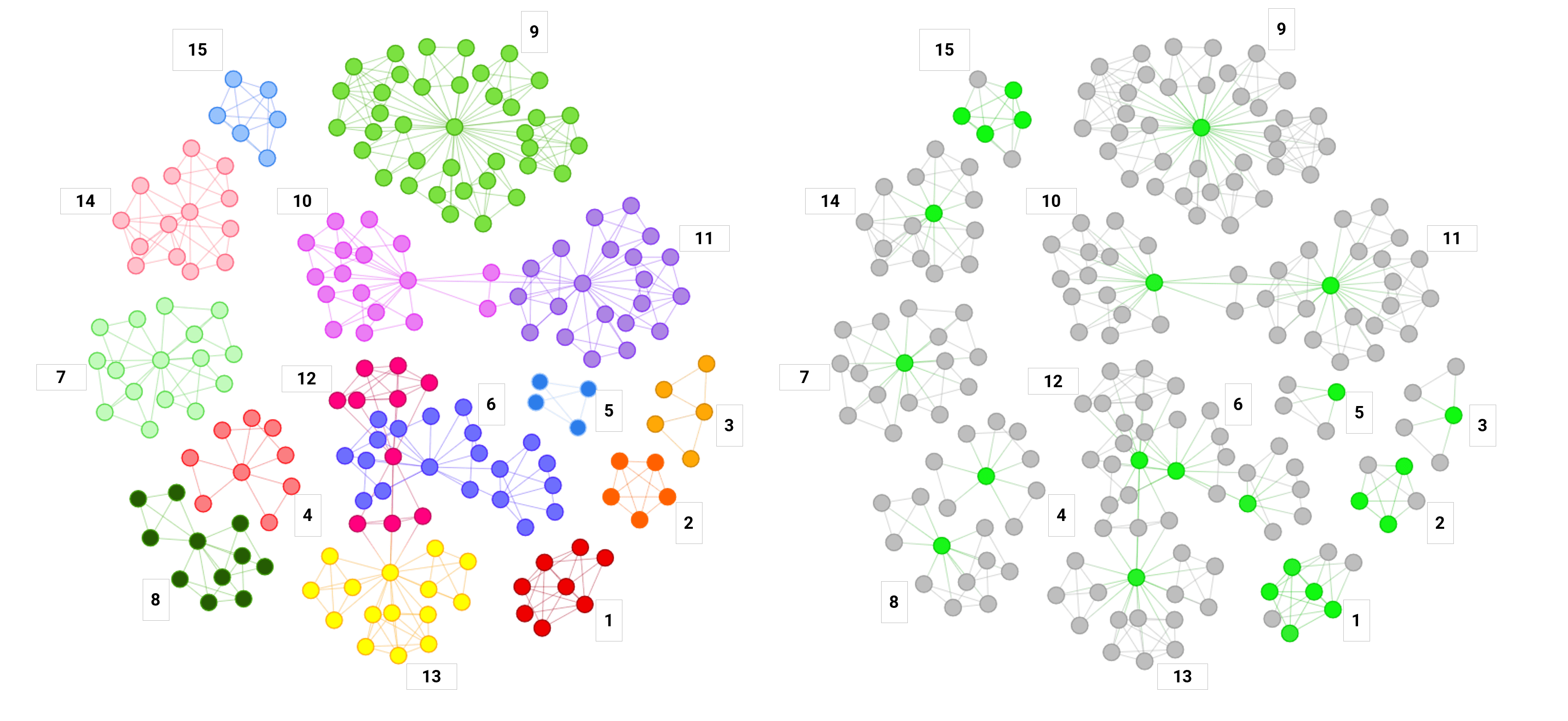 Disease architecture diagram demonstrating the 15 communities of SNPs that make up the structure of the Pain Questionnaire patient sub-populations generated by the PrecisionLife platform