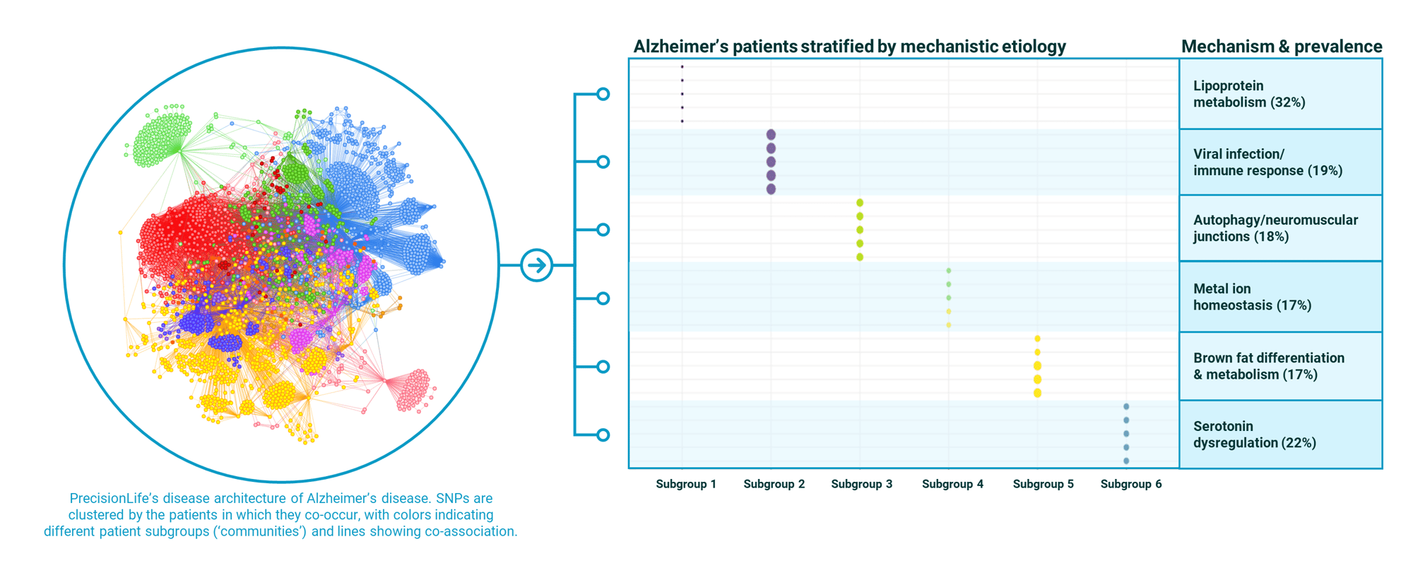 v3 fig 4. PrecisionLife improving health, for everyone-min v3 fig 4. PrecisionLife improving health, for everyone-min