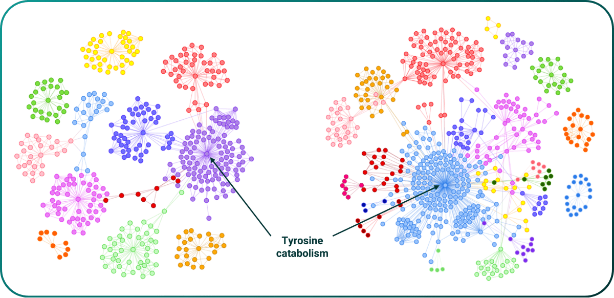 Identification of a replicated actively protective gene involved in producing protective GPR35 agonist metabolites in ME/CFS