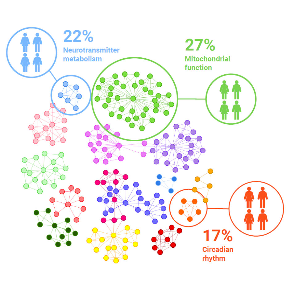 MECFS Stratification-min MECFS Stratification-min