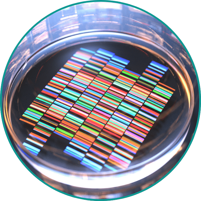 Maximize returns with genetic evidence-min