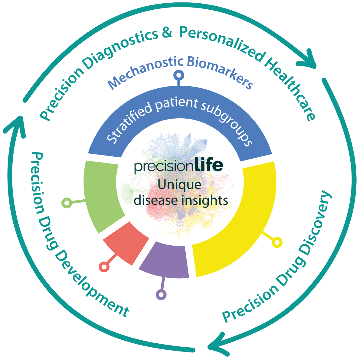 PrecisionLife flywheel-min